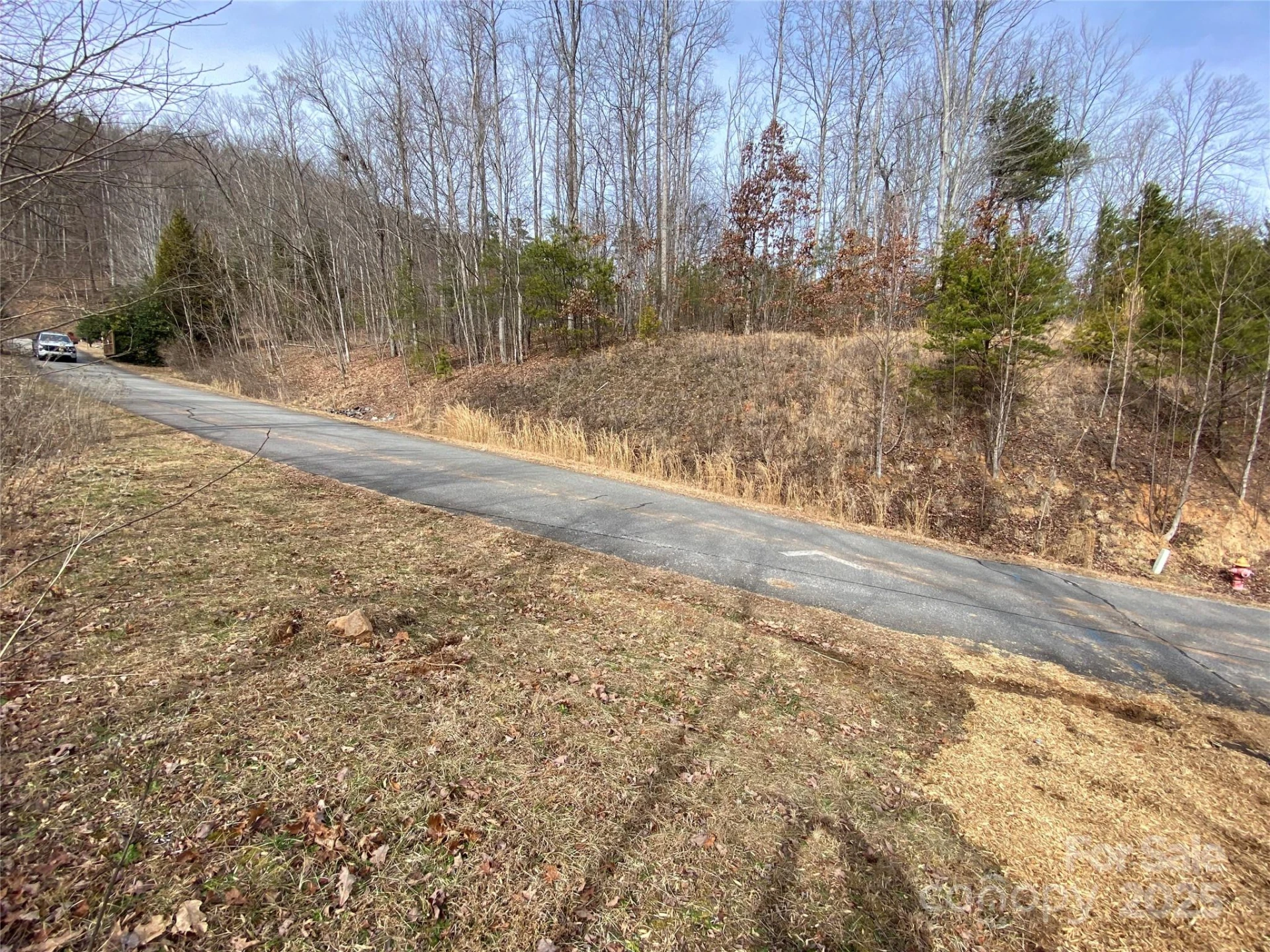 46 Holmstead Drive #46 - Photo 2