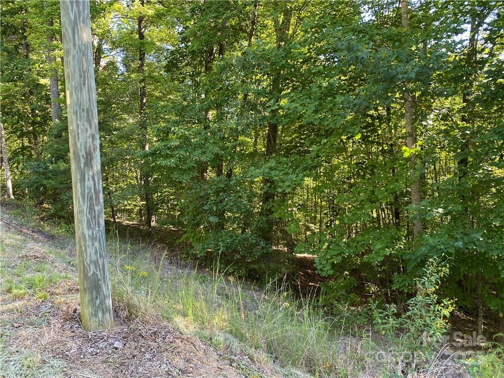 46 Holmstead Drive #46 - Photo 17