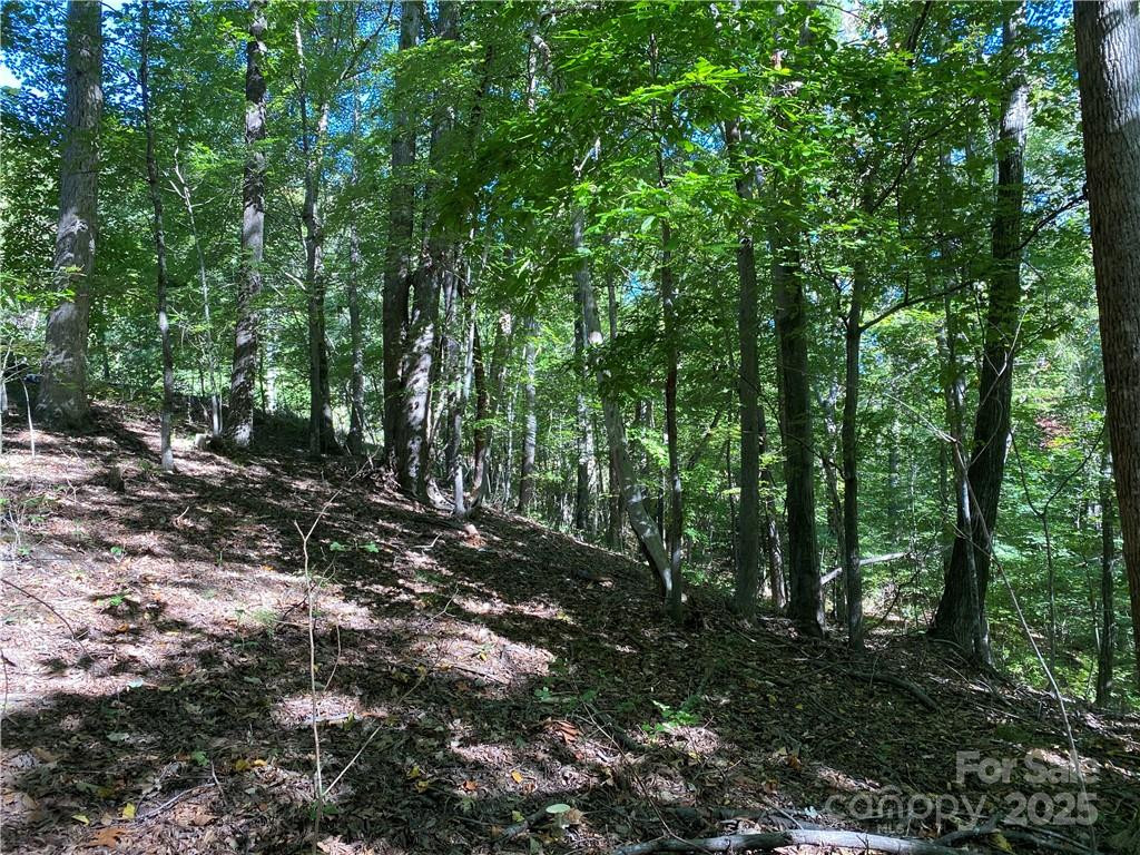 46 Holmstead Drive #46 - Photo 18