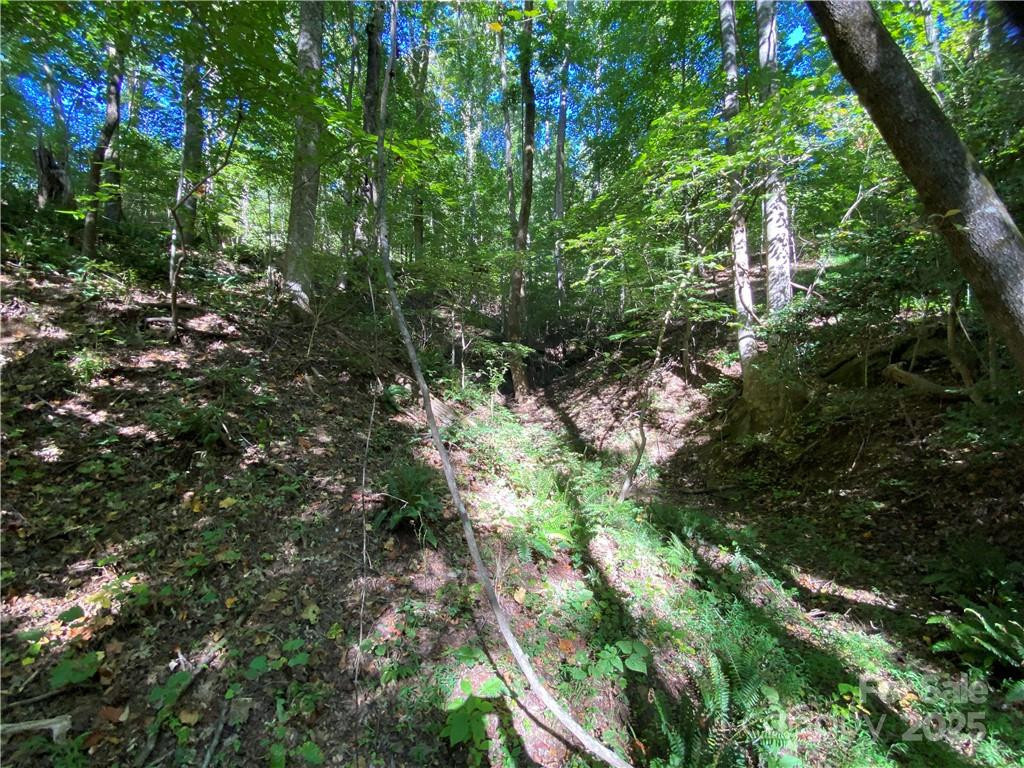 46 Holmstead Drive #46 - Photo 20