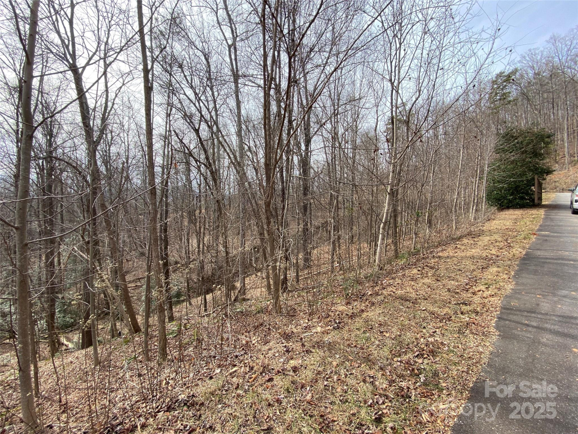 46 Holmstead Drive #46 - Photo 3