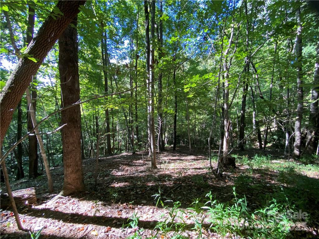 46 Holmstead Drive #46 - Photo 21