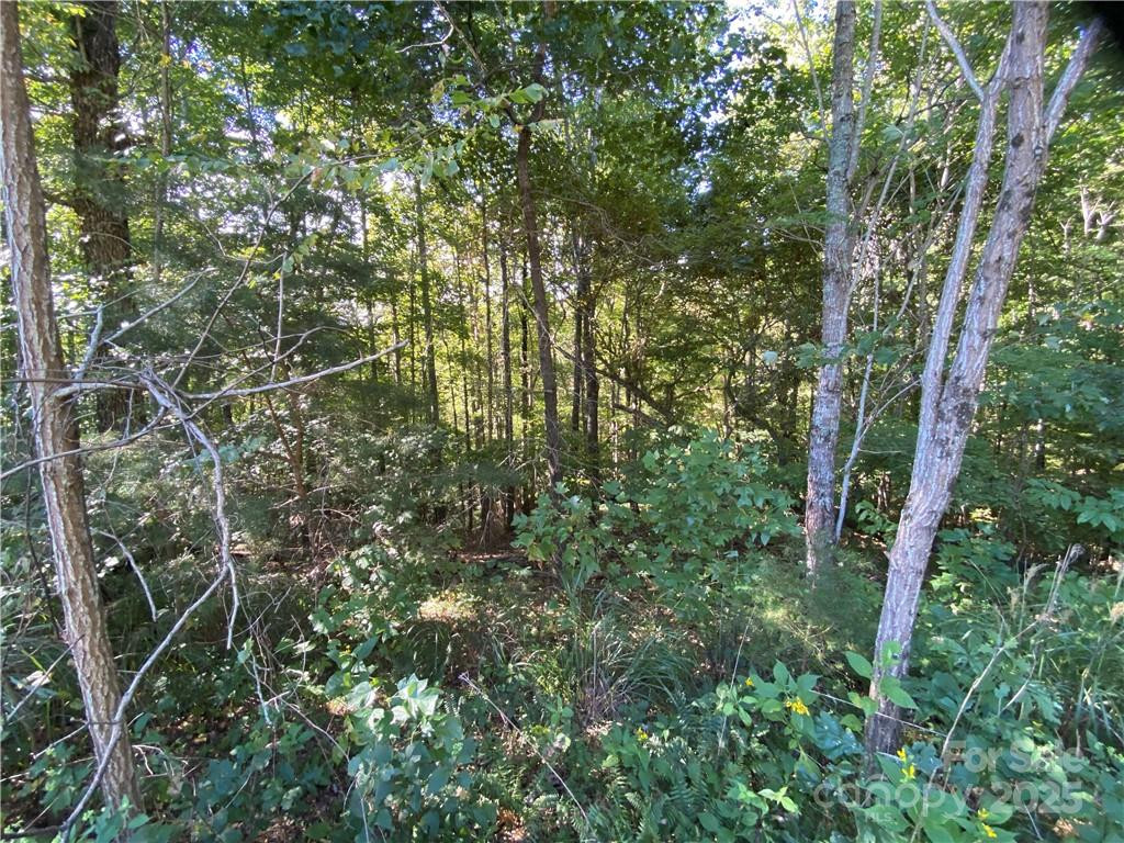 46 Holmstead Drive #46 - Photo 22