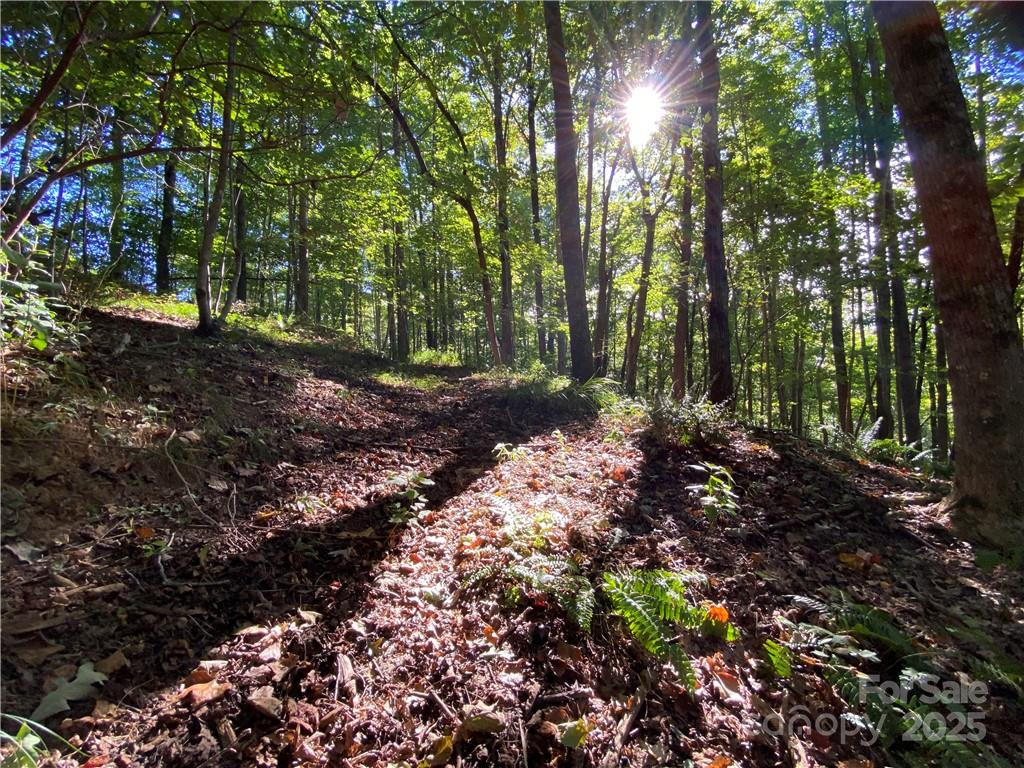 46 Holmstead Drive #46 - Photo 24