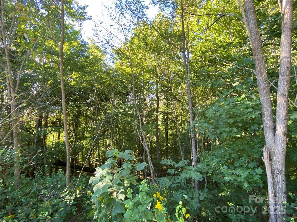 46 Holmstead Drive #46 - Photo 25