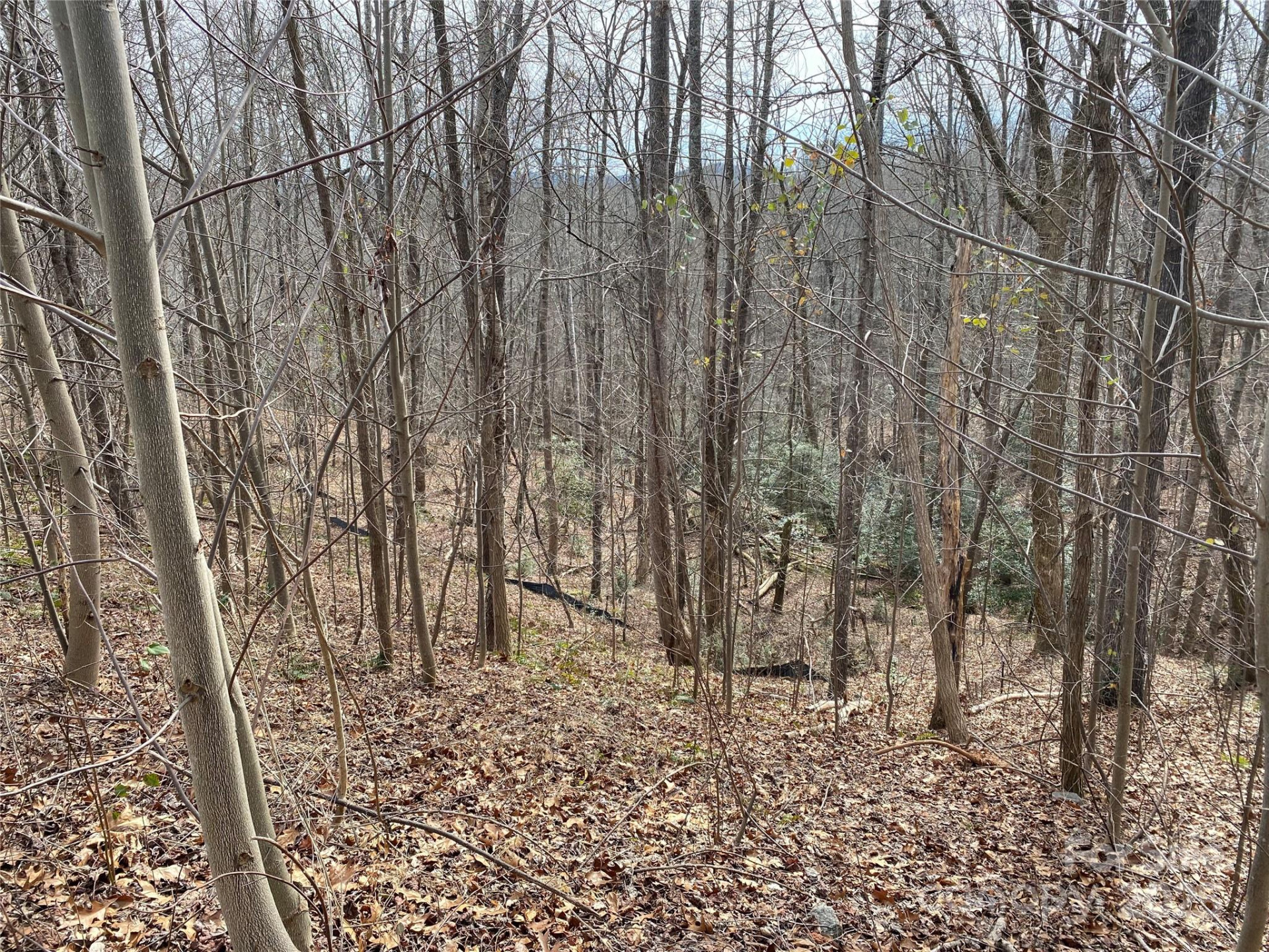 46 Holmstead Drive #46 - Photo 5