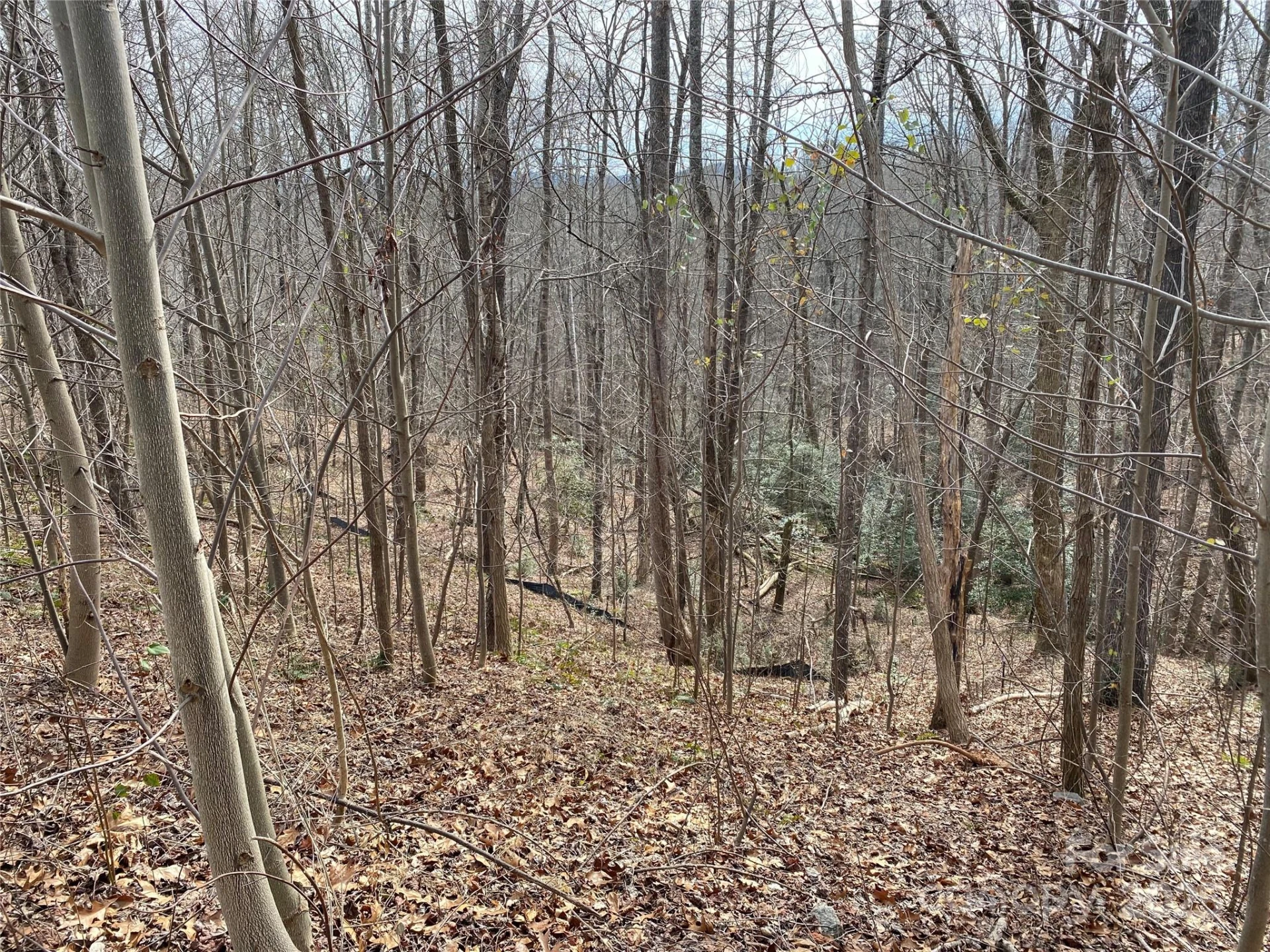 46 Holmstead Drive #46 - Photo 5