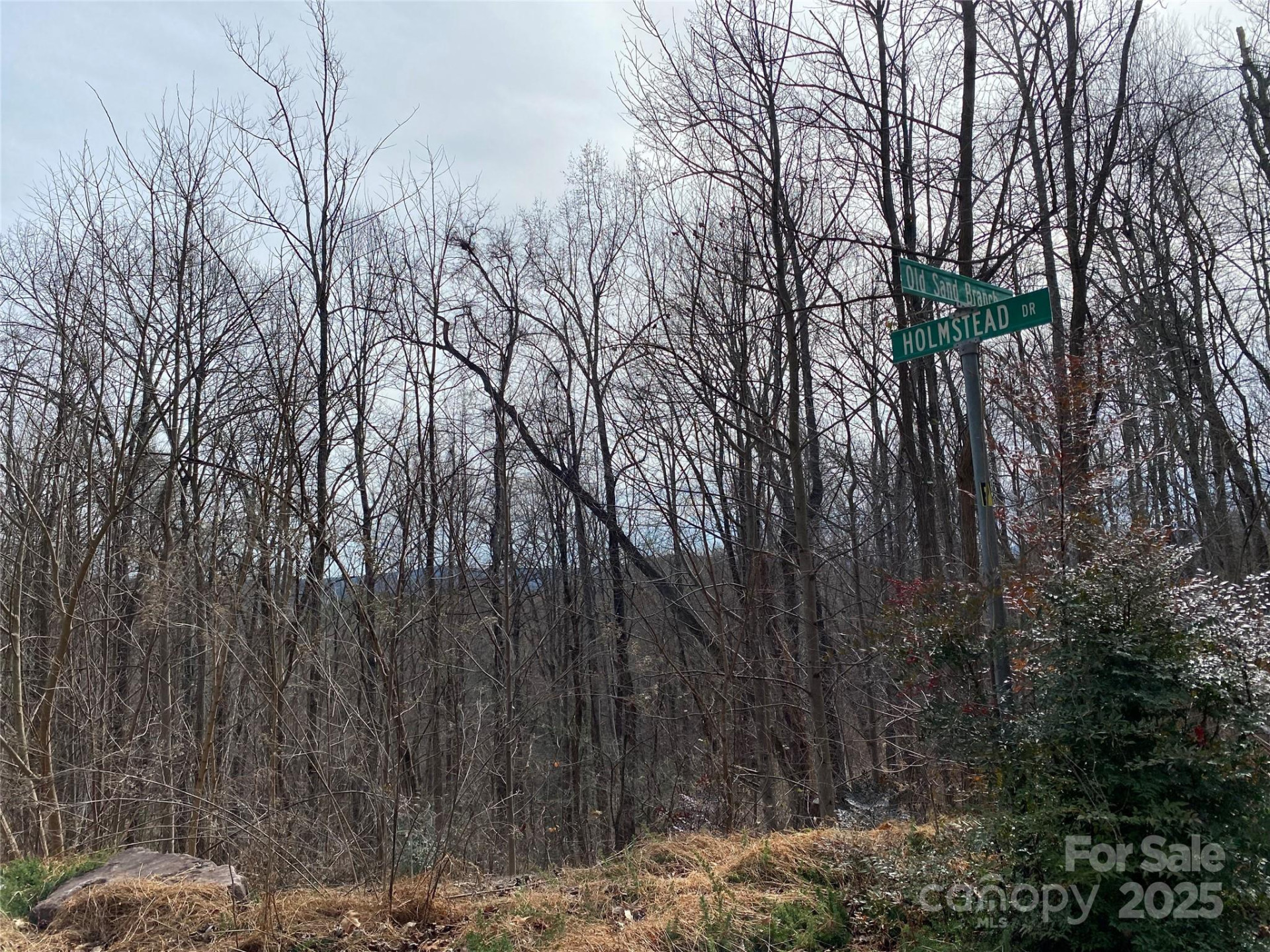 46 Holmstead Drive #46 - Photo 6