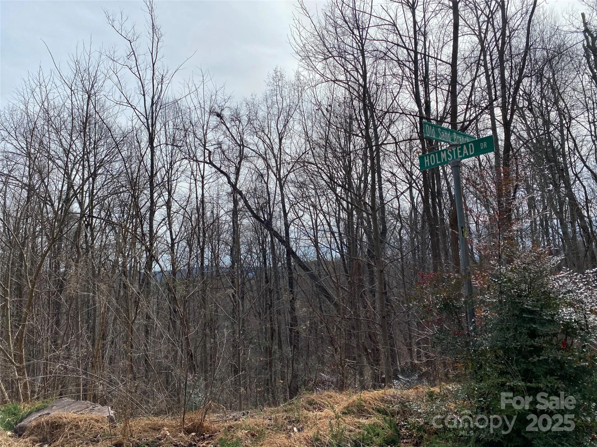 46 Holmstead Drive #46 - Photo 6