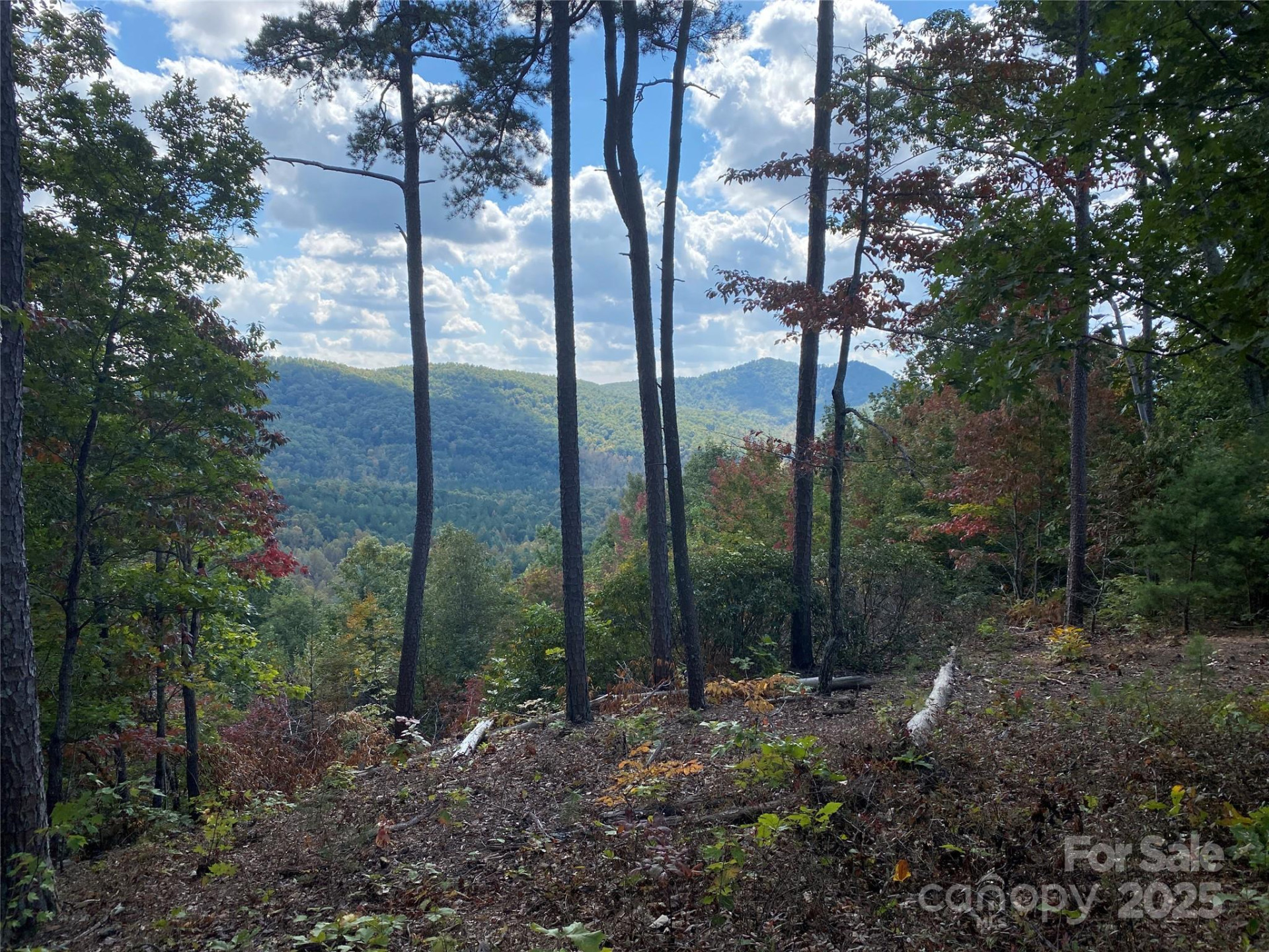 61 Scenic Vista Drive #238 - Photo 5