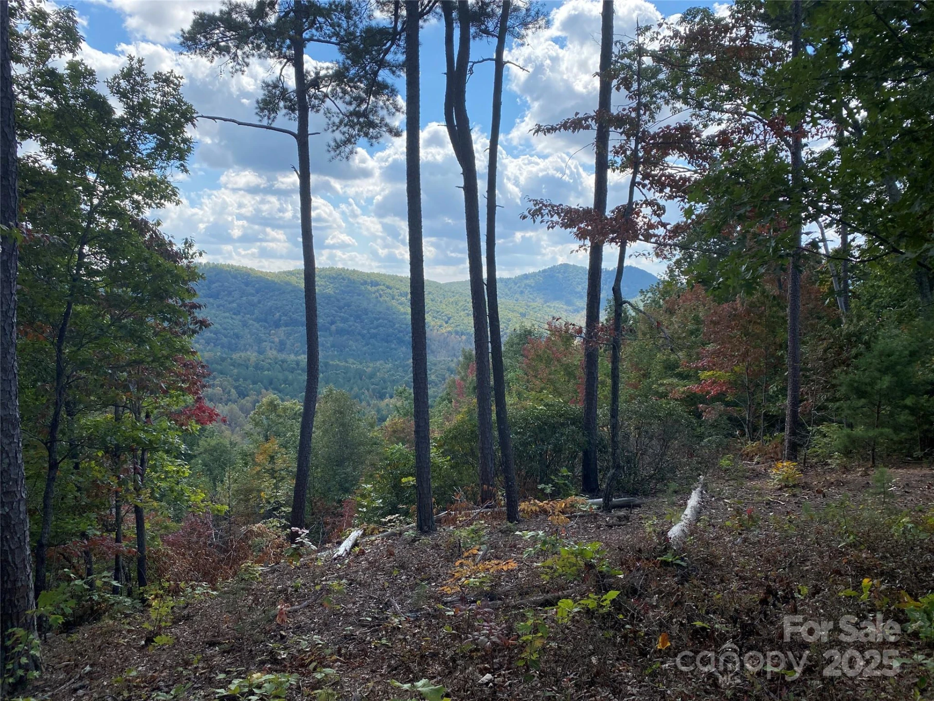 61 Scenic Vista Drive #238 - Photo 5