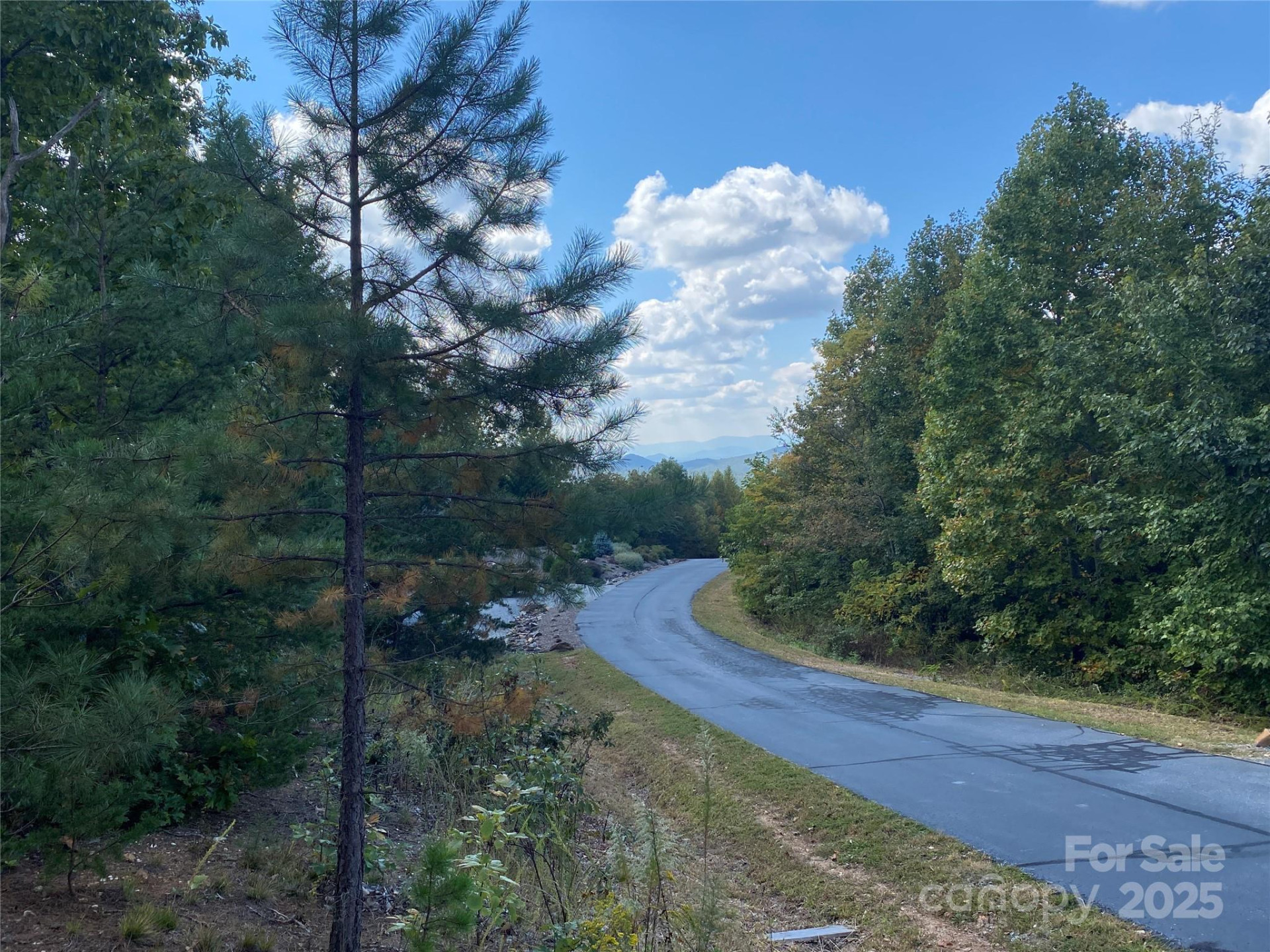 61 Scenic Vista Drive #238 - Photo 8