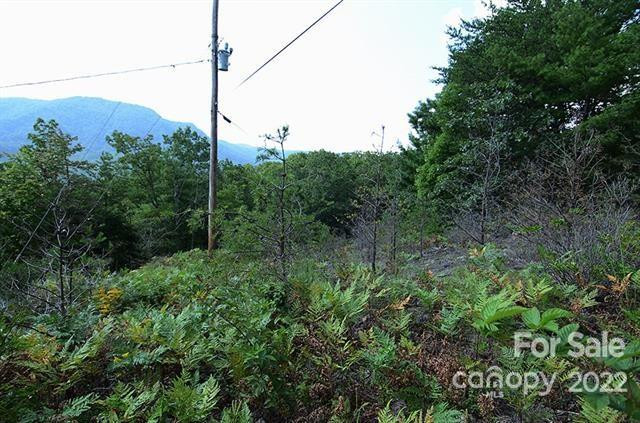 Lot 32G Sequoyah Circle #32G - Photo 3