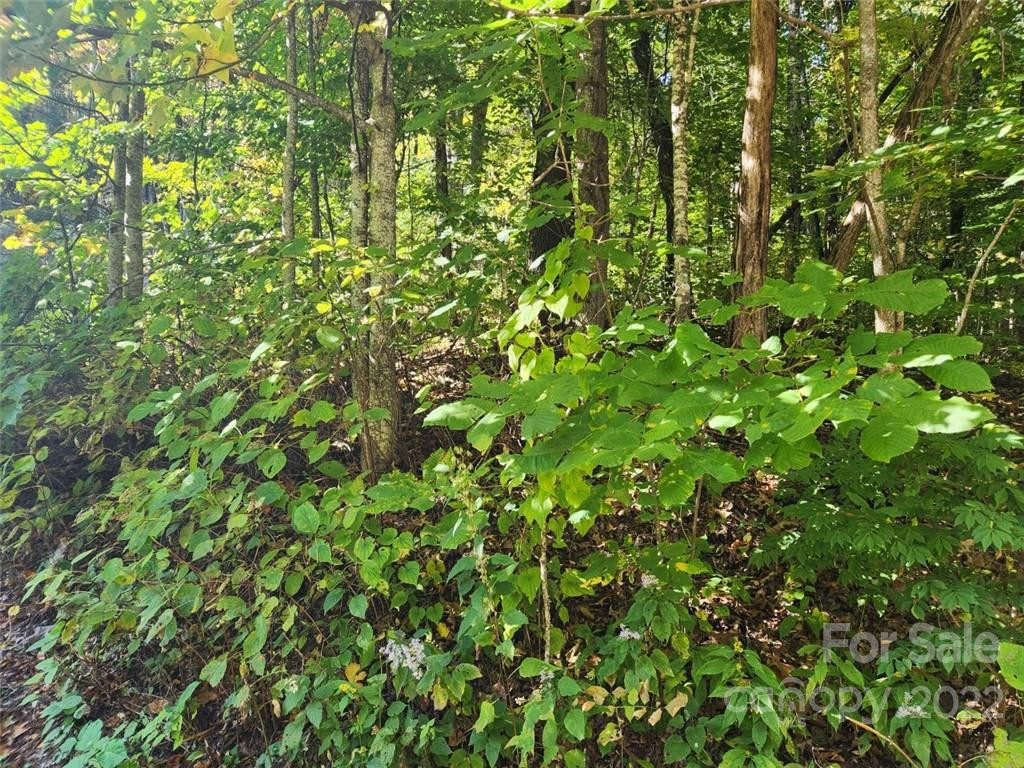 00 Staymon Road #229 - Photo 3