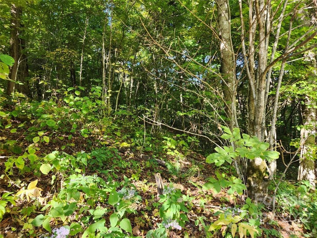 00 Staymon Road #229 - Photo 5