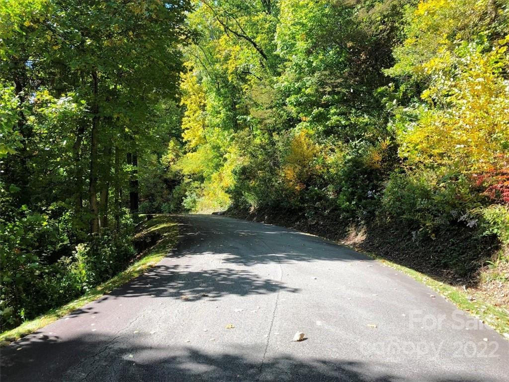 30 Cadillac Pointe #30 - Photo 3