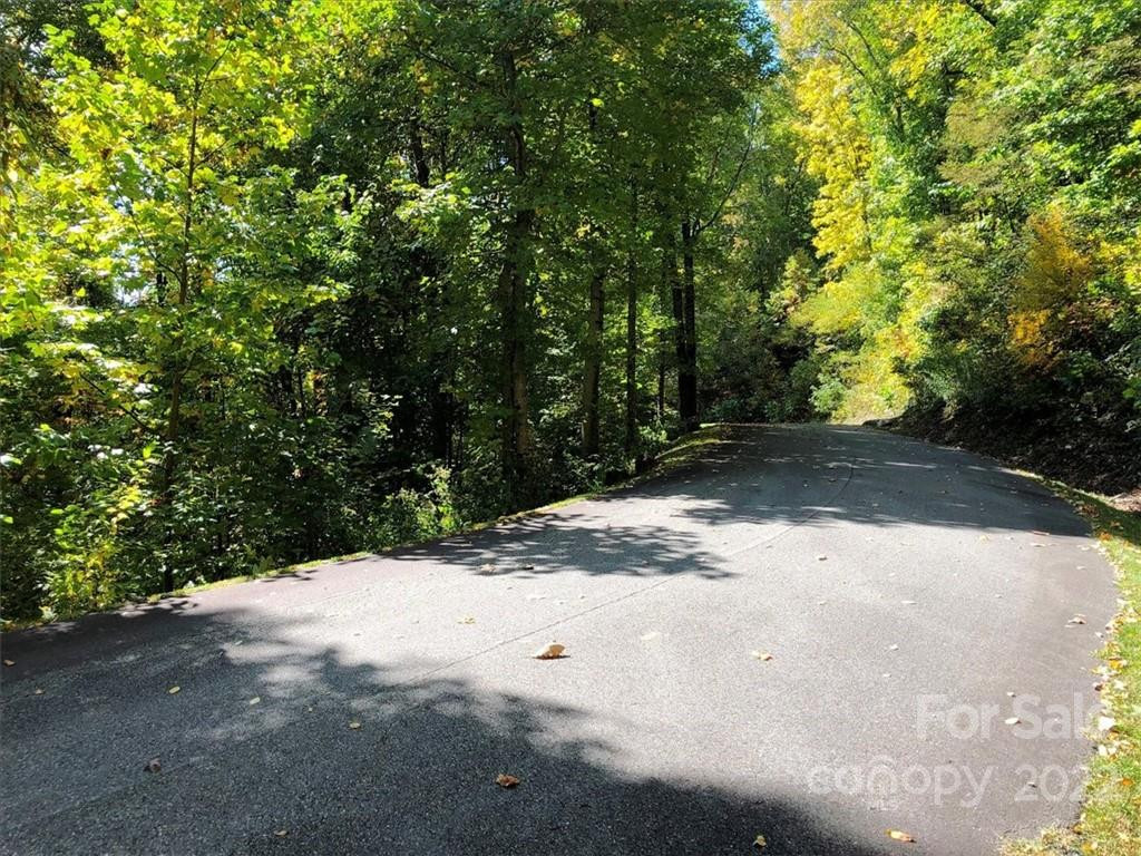 30 Cadillac Pointe #30 - Photo 4