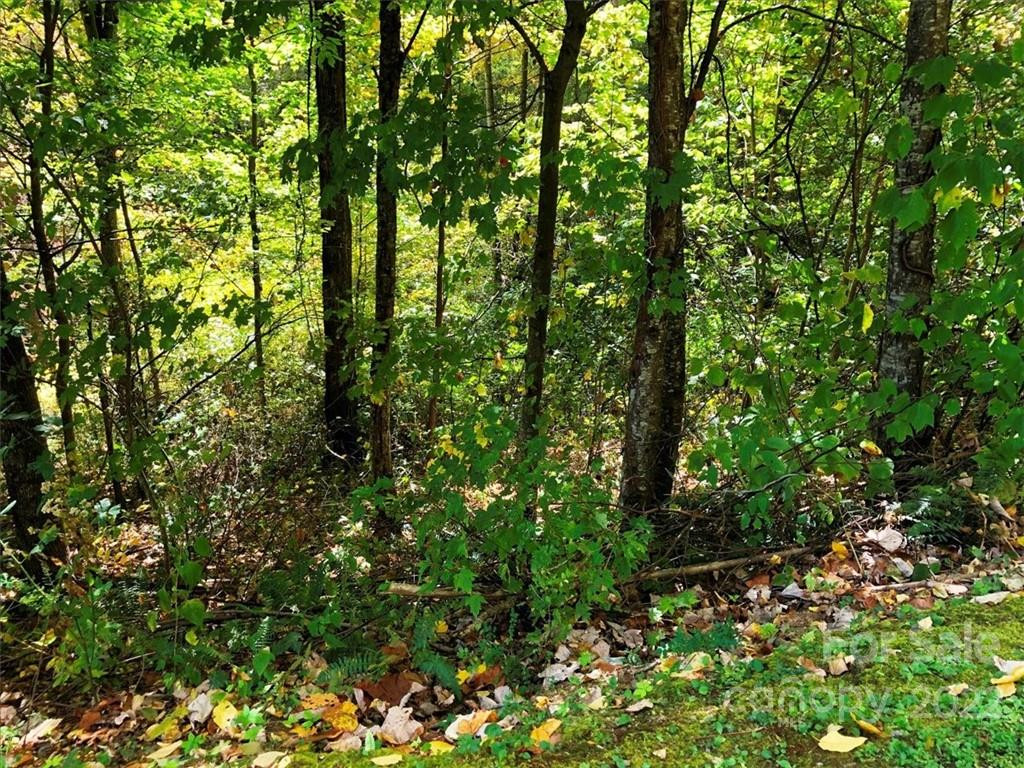 30 Cadillac Pointe #30 - Photo 5