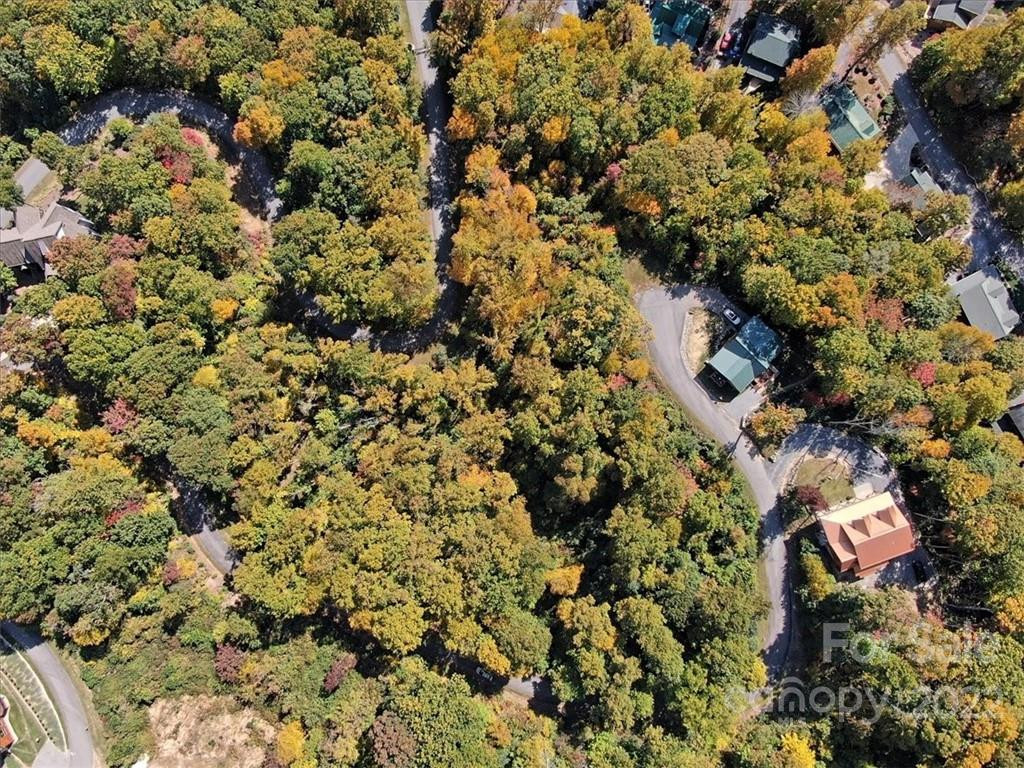 30 Cadillac Pointe #30 - Photo 8