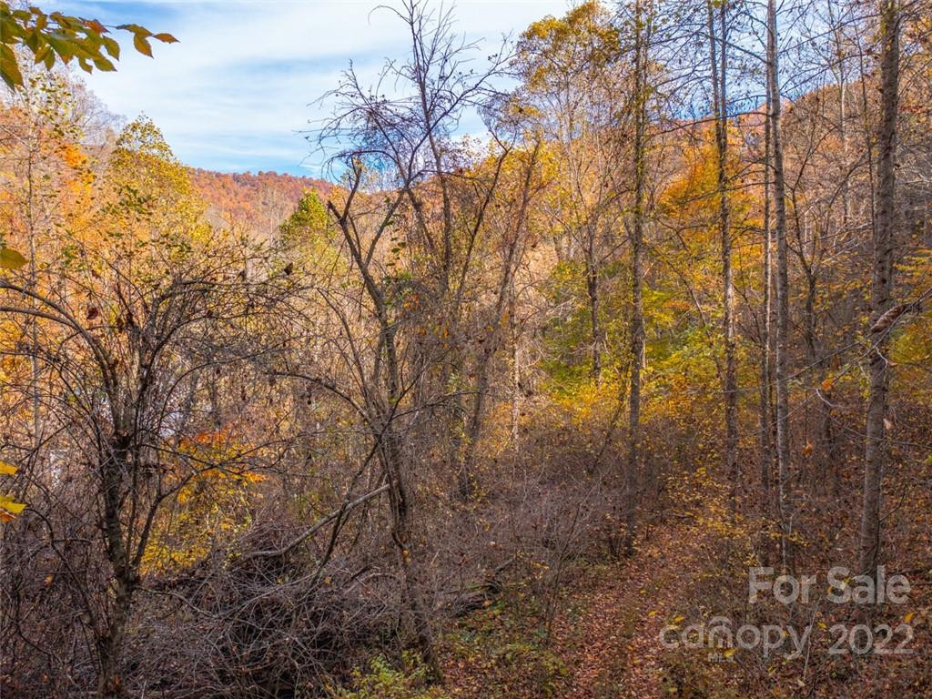 000 Drake Cove Road - Photo 2