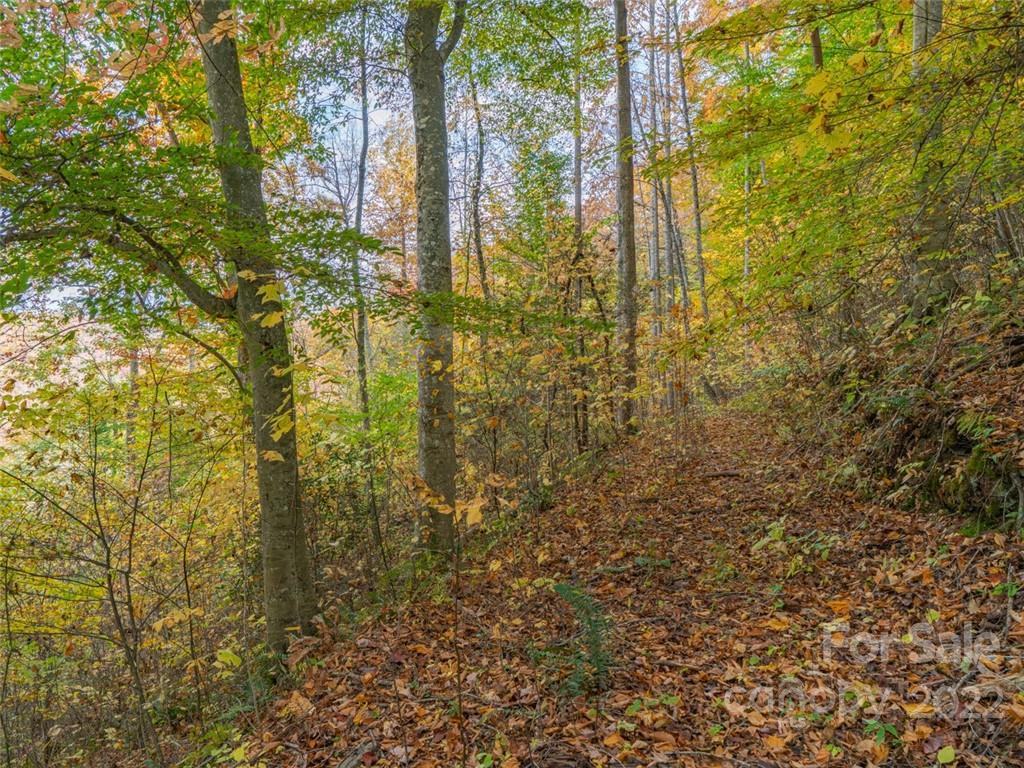 000 Drake Cove Road - Photo 11