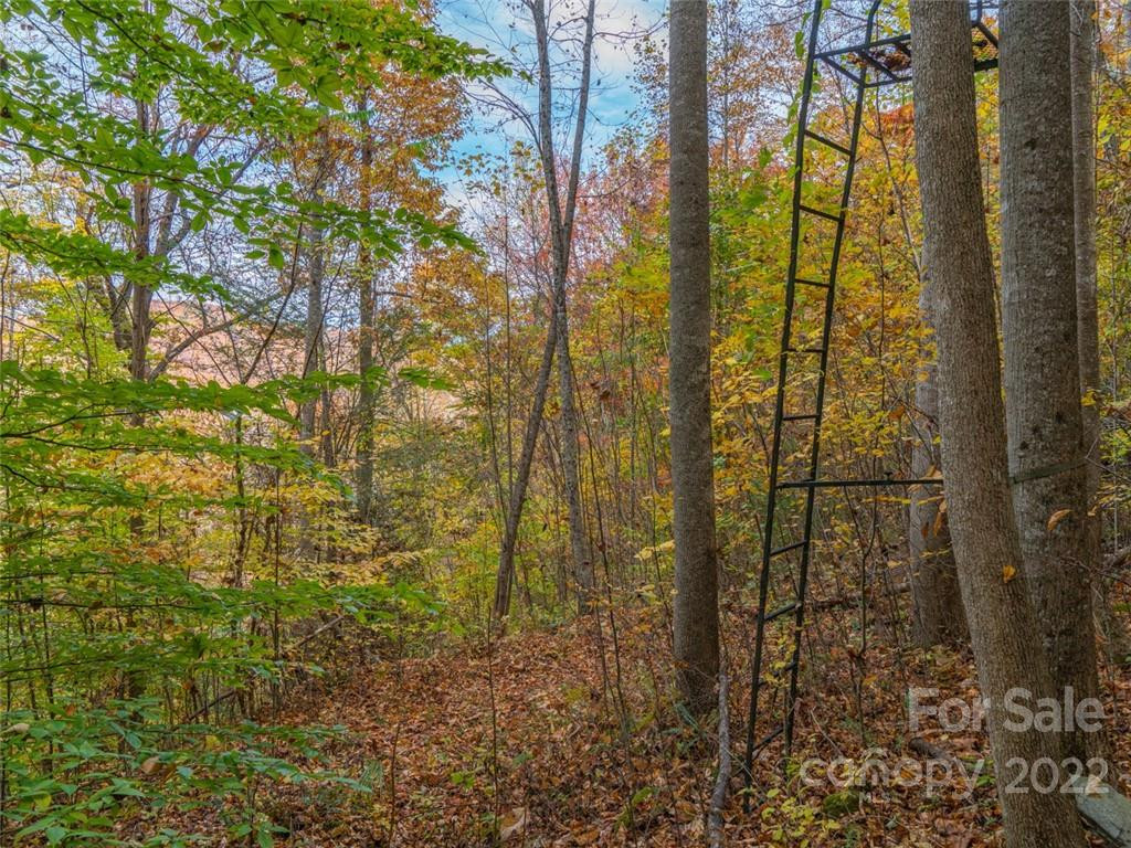 000 Drake Cove Road - Photo 12