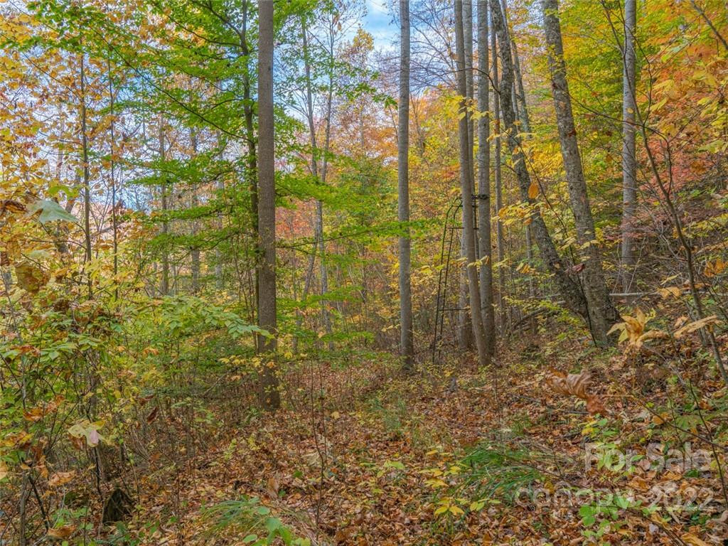 000 Drake Cove Road - Photo 13