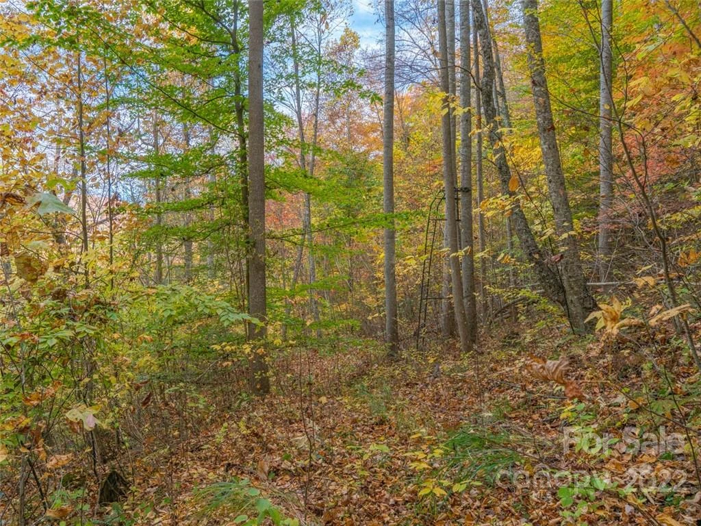 000 Drake Cove Road - Photo 13