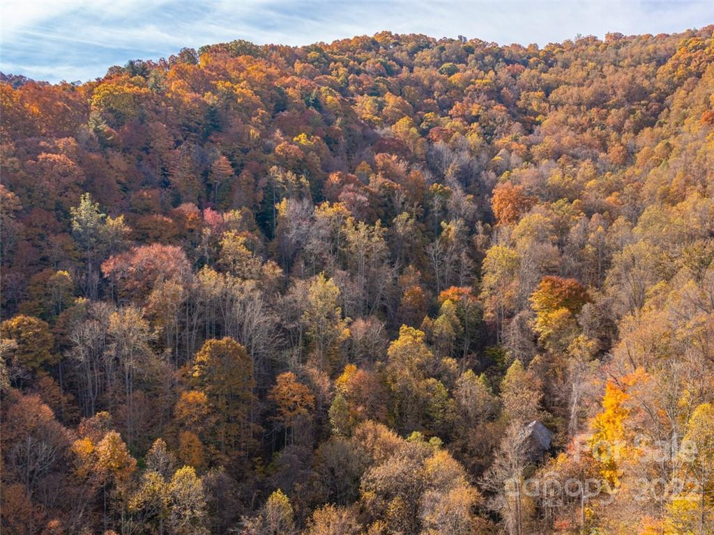 000 Drake Cove Road - Photo 14