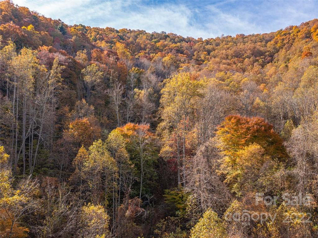 000 Drake Cove Road - Photo 15