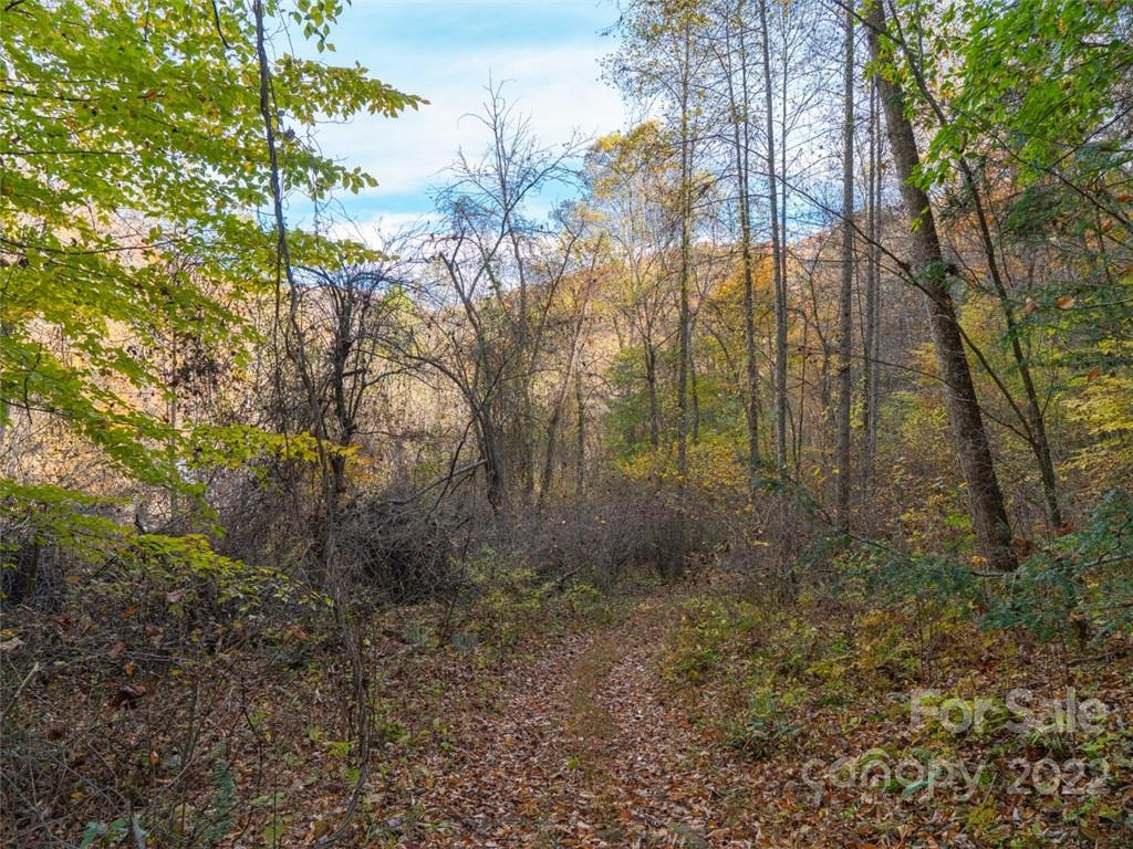 000 Drake Cove Road - Photo 16