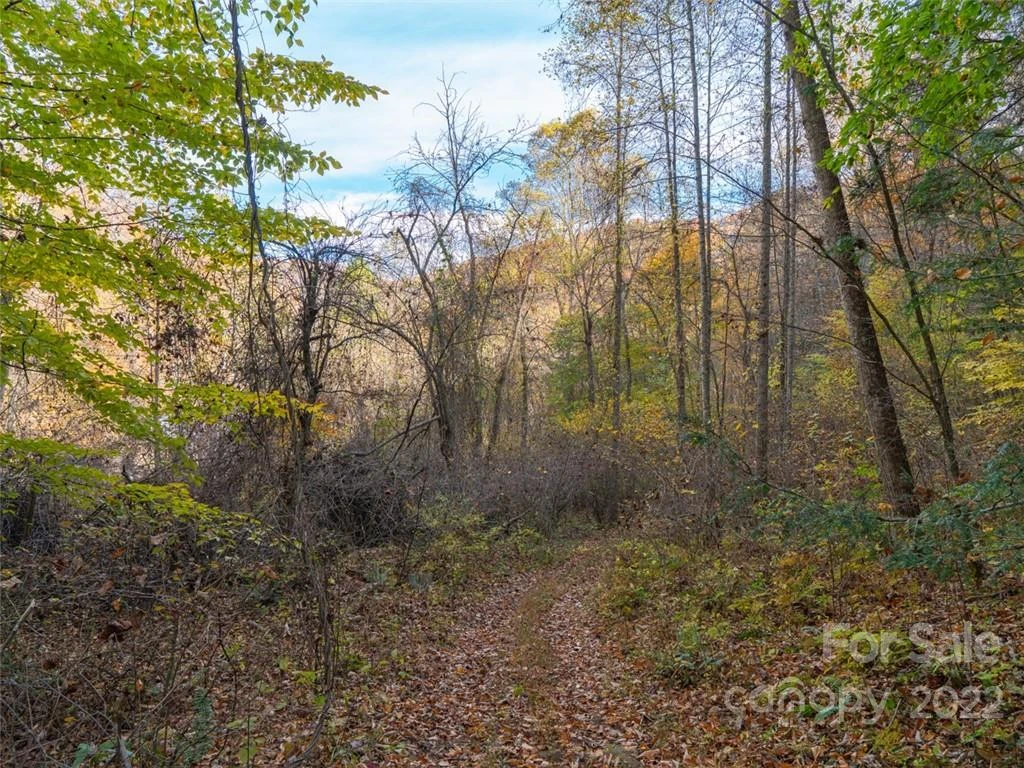 000 Drake Cove Road - Photo 16