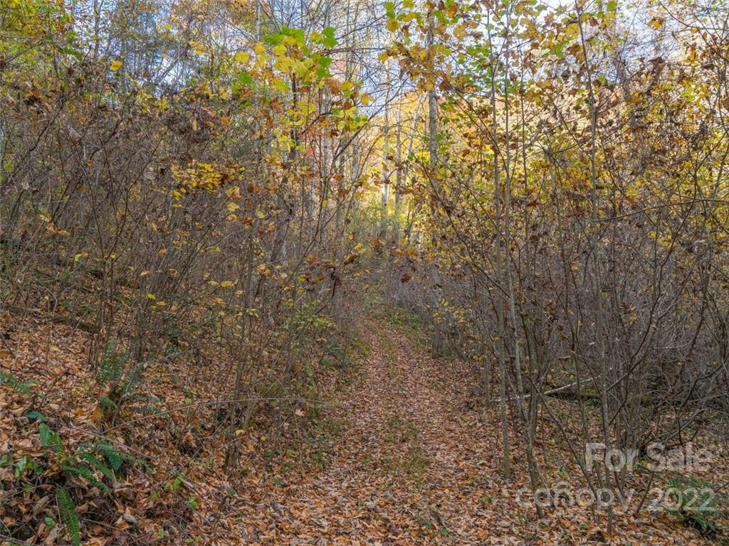 000 Drake Cove Road - Photo 17