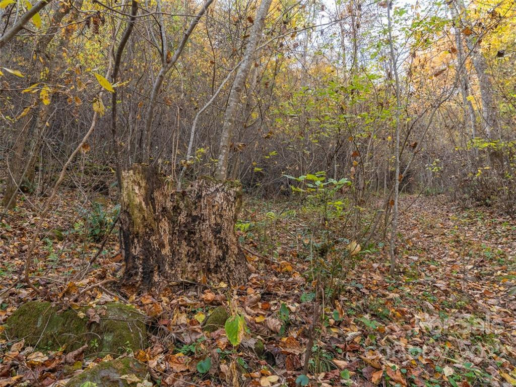 000 Drake Cove Road - Photo 18