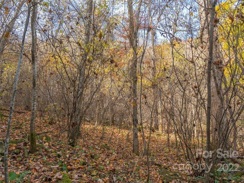 000 Drake Cove Road - Photo 19