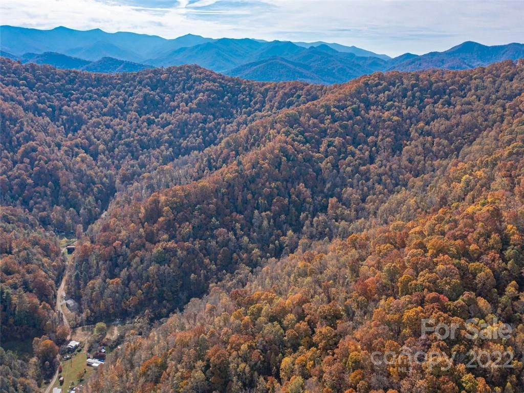 000 Drake Cove Road - Photo 20
