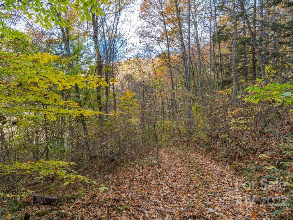 000 Drake Cove Road - Photo 3