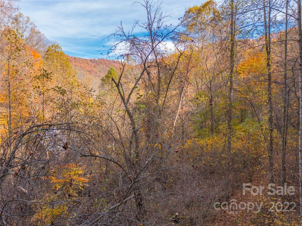 000 Drake Cove Road - Photo 24