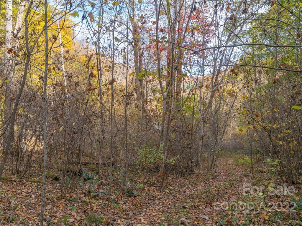 000 Drake Cove Road - Photo 25