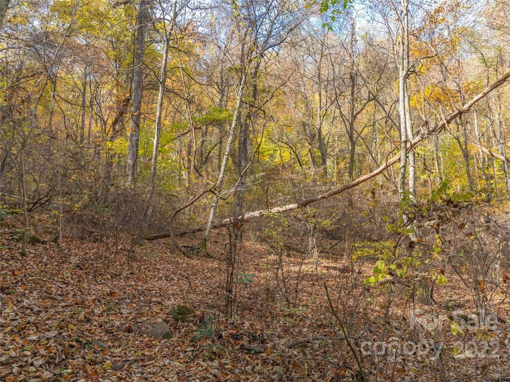 000 Drake Cove Road - Photo 26