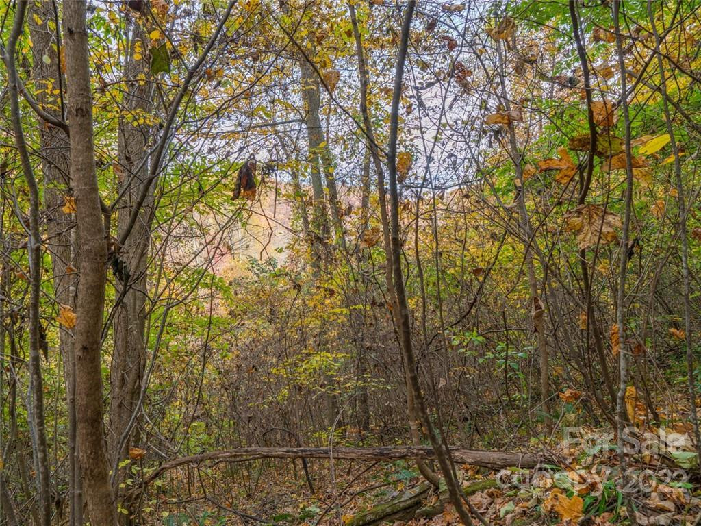 000 Drake Cove Road - Photo 28