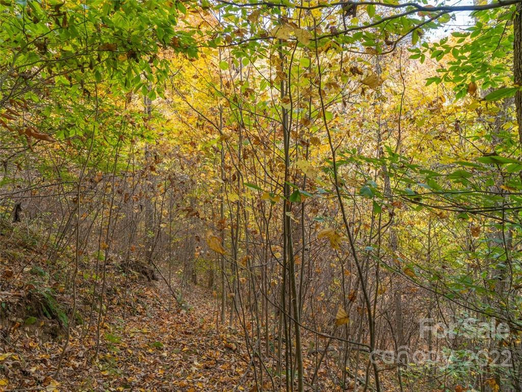 000 Drake Cove Road - Photo 29