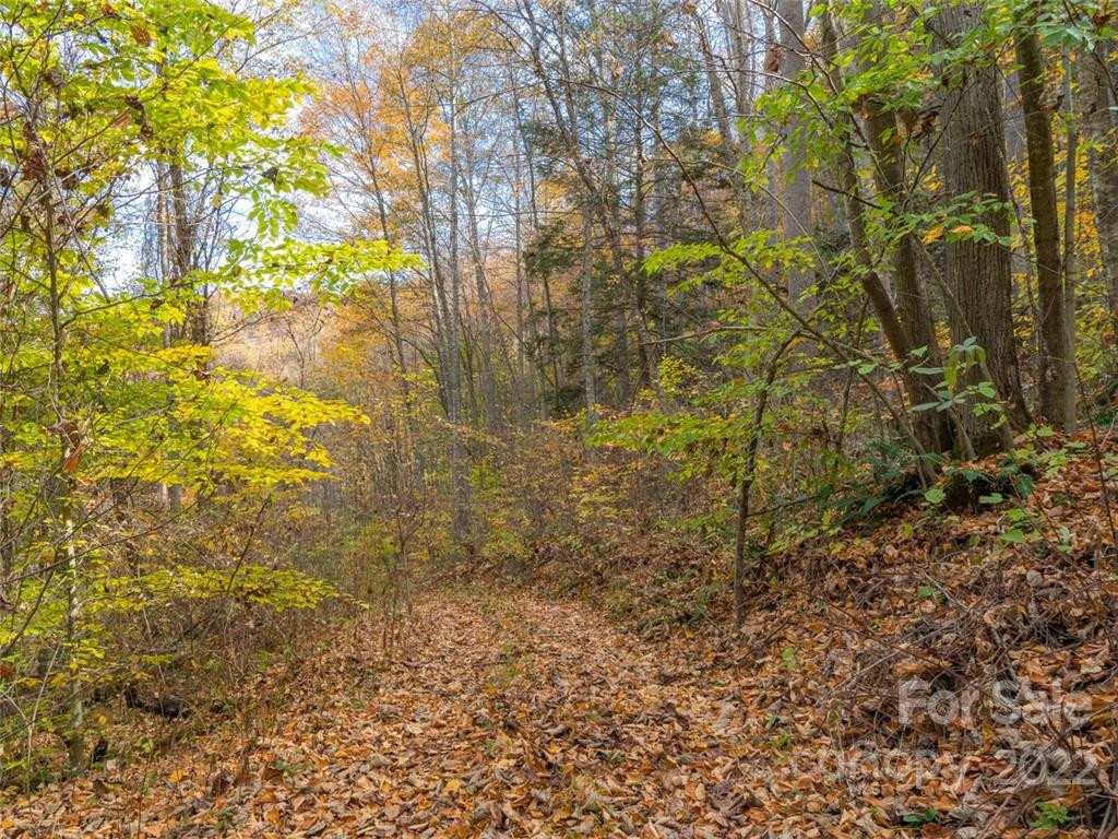 000 Drake Cove Road - Photo 30