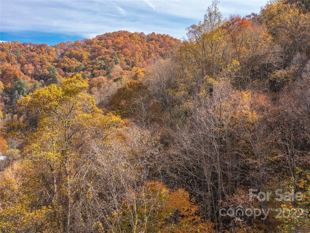 000 Drake Cove Road - Photo 31