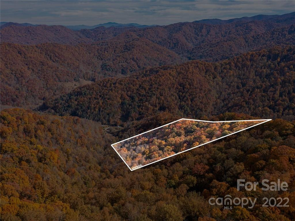 000 Drake Cove Road - Photo 6