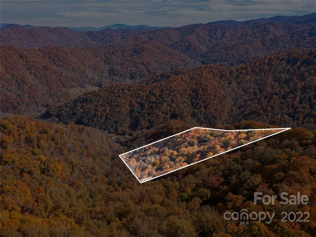 000 Drake Cove Road - Photo 6