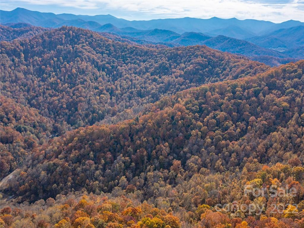 000 Drake Cove Road - Photo 8