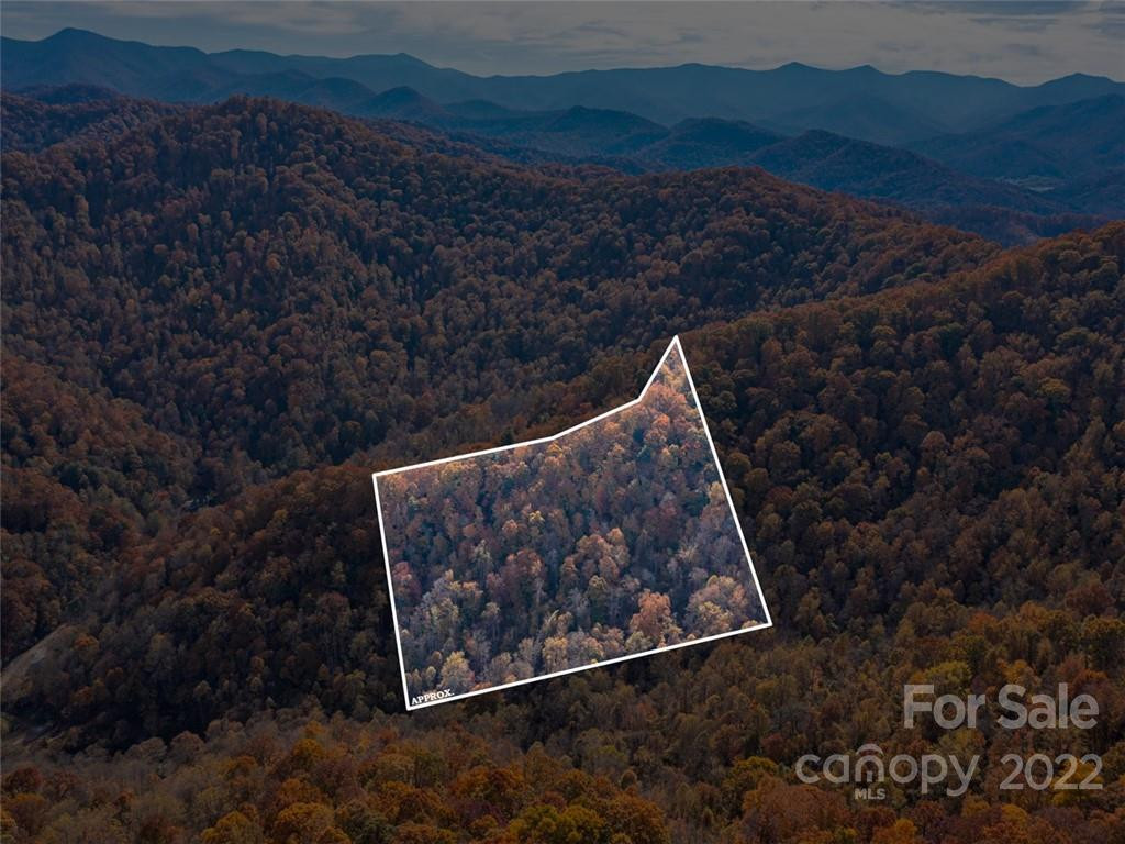 000 Drake Cove Road - Photo 9