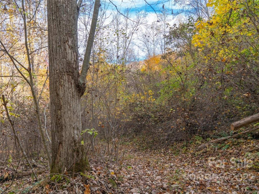 000 Drake Cove Road - Photo 10