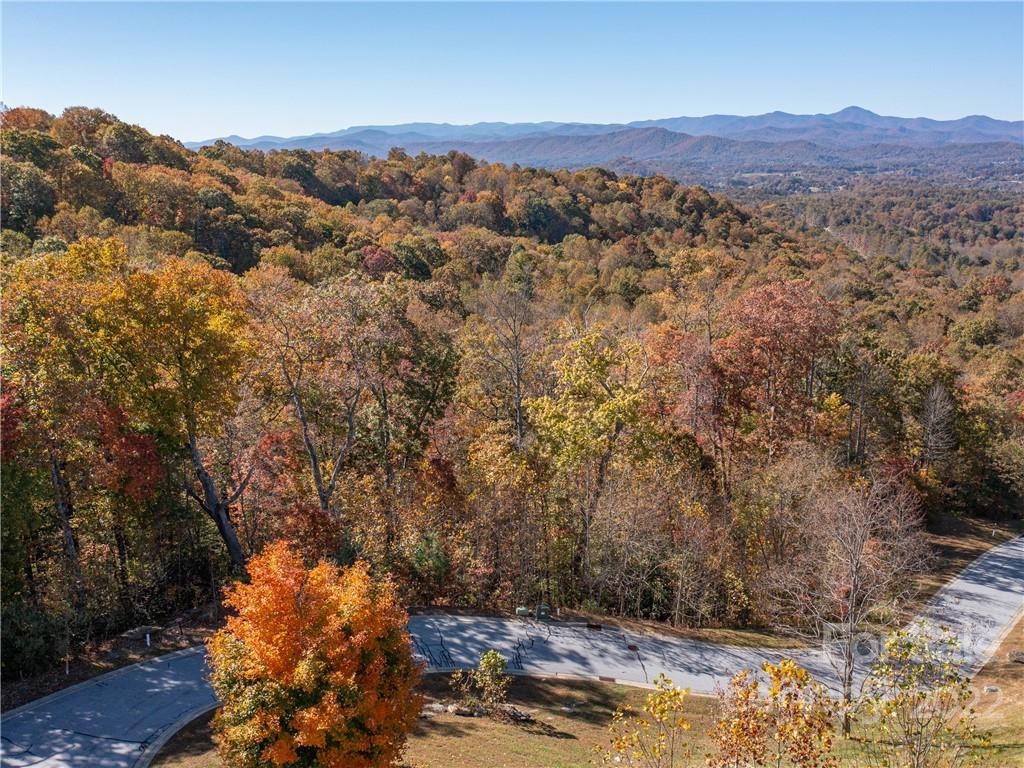 1736 Wood Owl Court #36R